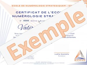 Anciens élèves : obtenez le certificat de l’École De Numérologie Stratégique®